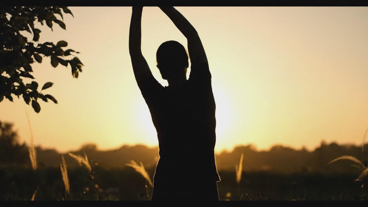 Load video: Short video reel of a silhouette of woman stretching while looking at a bright sunrise transitioning to close up of green leaves lightly rustling in the wind